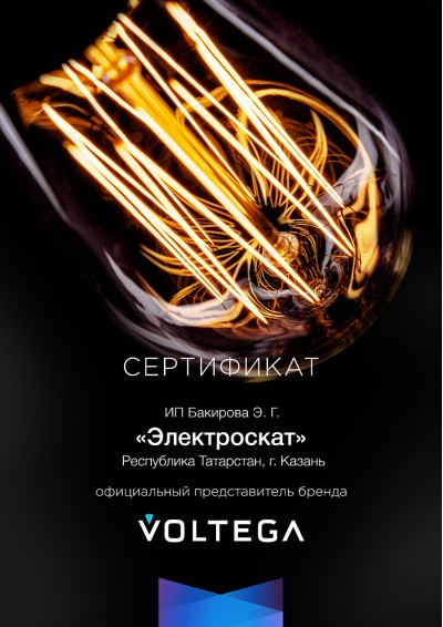 Официальный дилер бренда VOLTEGA в городе Казань