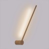 Декоративная подсветка Arte Lamp POLIS A2027AP-1GO